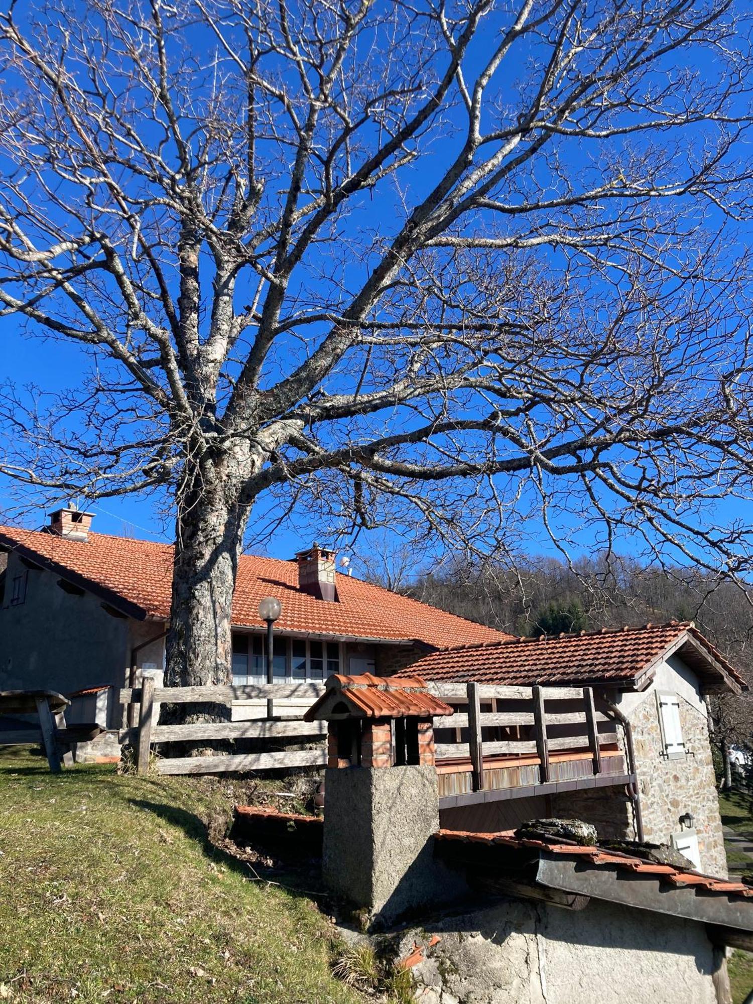 Casa Sperandini San Marcello Pistoiese Exterior foto